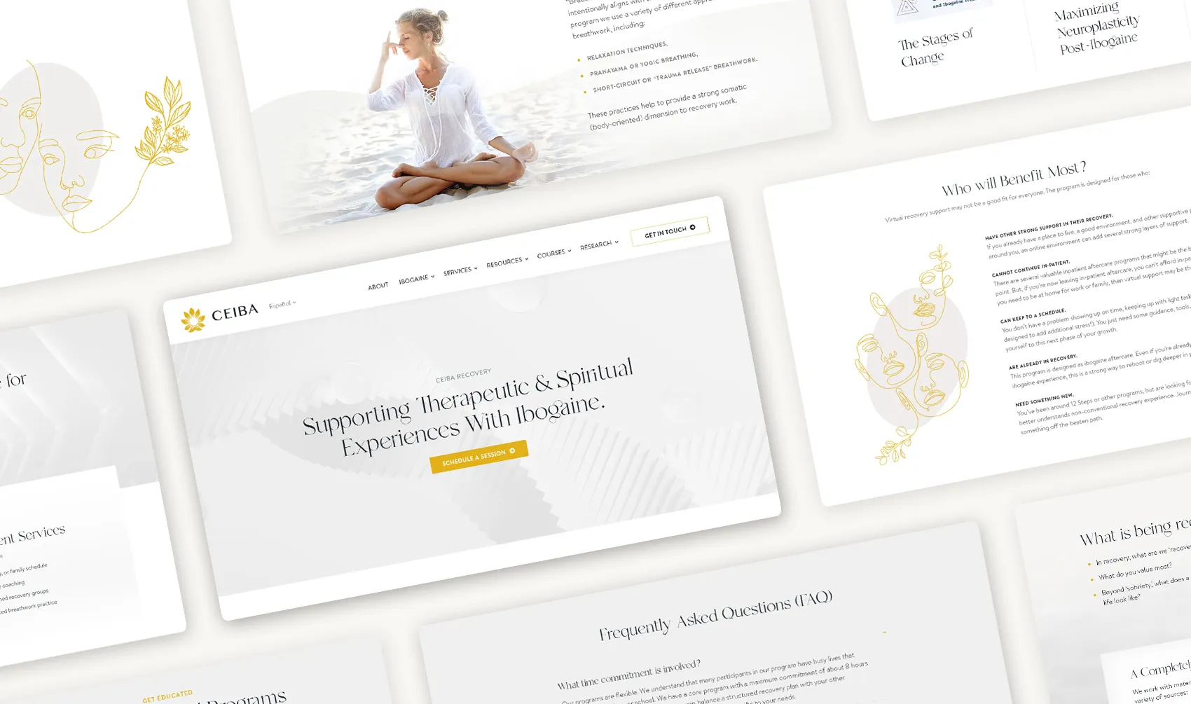 Ceiba Foundation website design