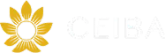 Ceiba Foundation case study